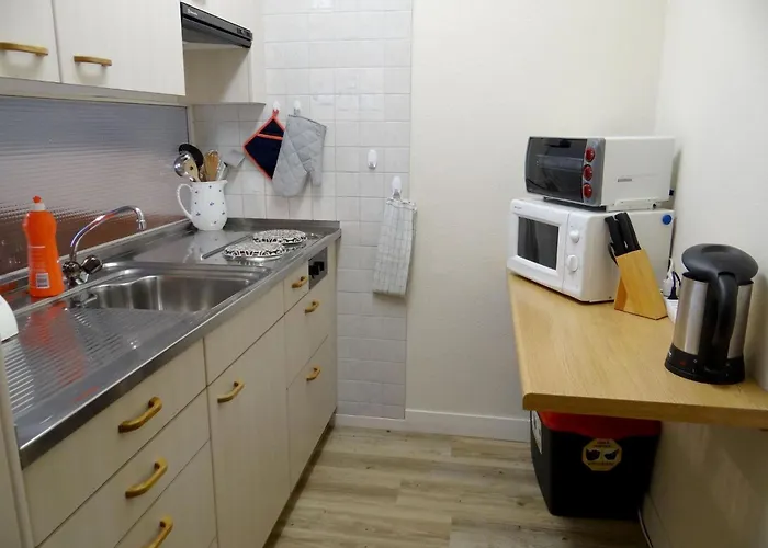 公寓 Parkweg 9-402 By Interhome